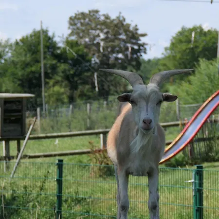 Landidylle - Hof In De Wisch Holzdorf (Schleswig-Holstein)