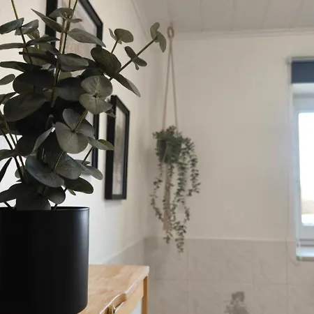 Landidylle - Hof In De Wisch *